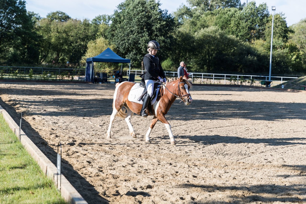 Bild 19 - Pony Akademie Turnier